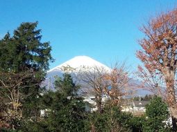 富士山を望む清々しい風景