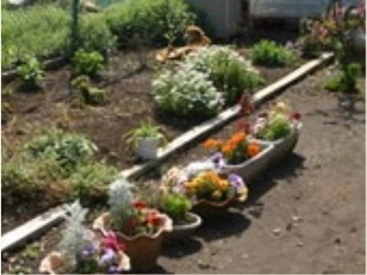 手入れされた花と緑の中庭