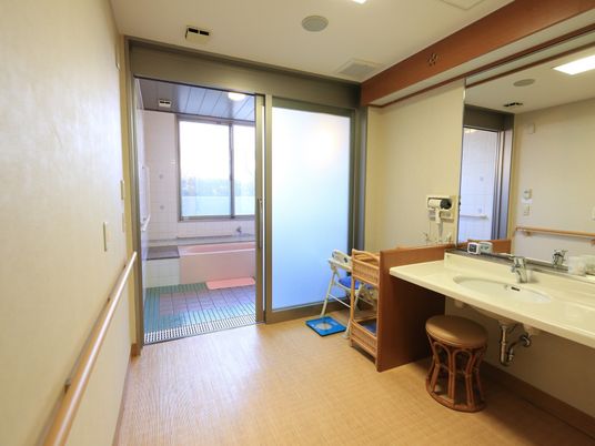 脱衣所の床は畳敷きになっている。右手に洗面台が設置され、壁には大きな鏡があり、その横にドライヤーが取りつけられている。