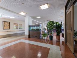 明るい廊下の植物装飾