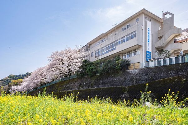 自然に囲まれた建物