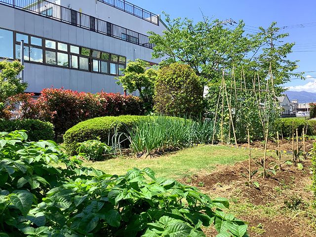 緑豊かな中庭風景 中庭 清々しい中庭は、季節の花々や緑に囲まれ、日々の散策や憩いの時間を提供します。