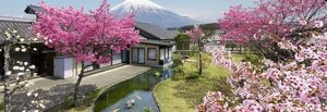 庭園と富士山の景色