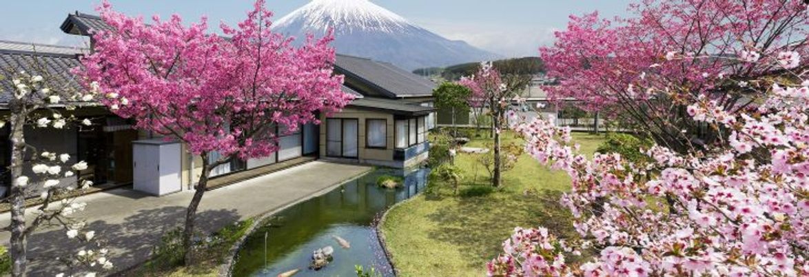 庭園と富士山の景色