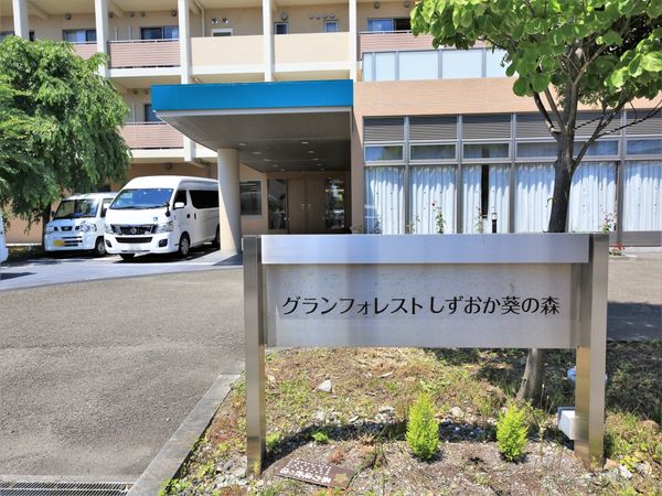 エントランスと緑の木
