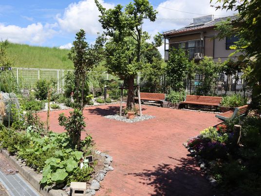 緑豊かな中庭風景
