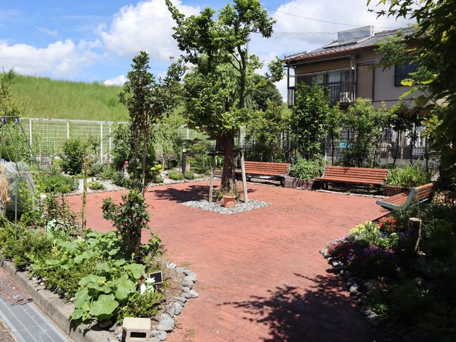 緑豊かな中庭風景 中庭 青空の下、手入れが行き届いた中庭では、植物や木々に囲まれてゆったりと過ごすことができます。ベンチが設置された空間は、きっと心地よい憩いの場となるでしょう。