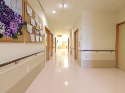 明るい廊下と掲示物