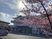桜と建物の外観  