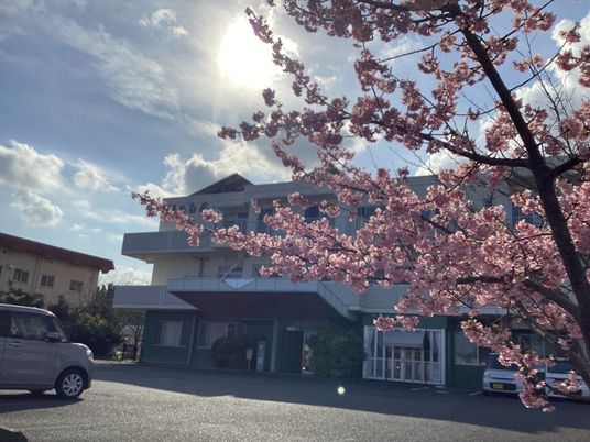 桜と建物の外観  