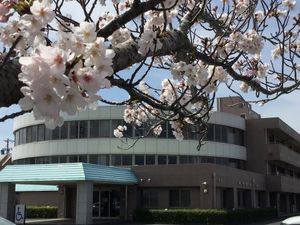 桜の咲く風景と建物外観