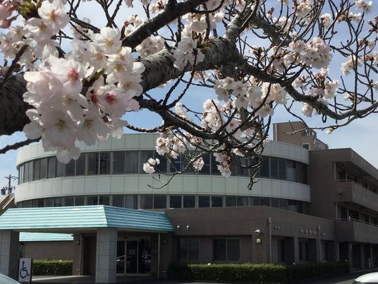 桜の咲く風景と建物外観