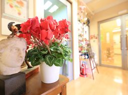 廊下の装飾と植物
