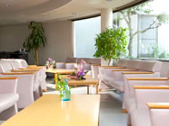明るいダイニングルーム 共有スペース 植物が彩るダイニングでは、日差しを感じながら食事ができ、居心地の良い時間を過ごせます。