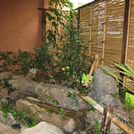 静かな庭の風景