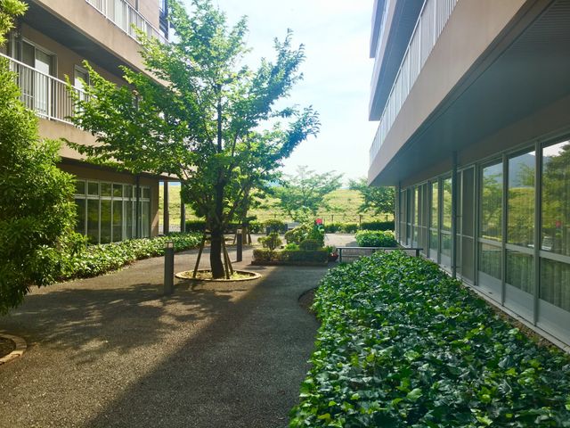 緑豊かな中庭 中庭 自然光が差し込む緑豊かな中庭が広がっています。気軽に散歩を楽しむことができます。