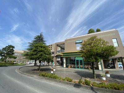広々とした外観