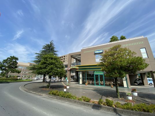 広々とした外観