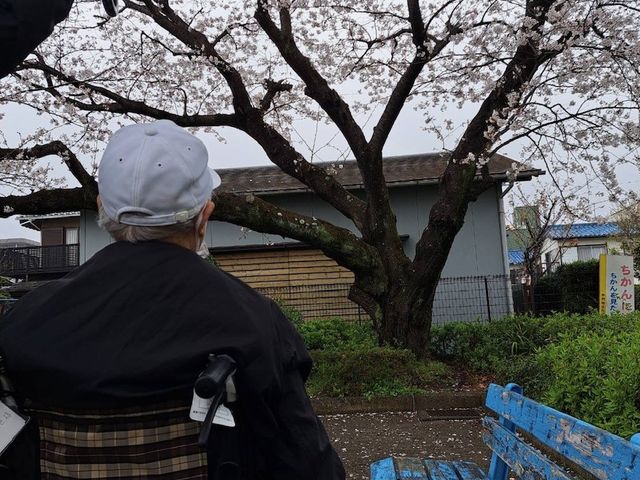 お花見
