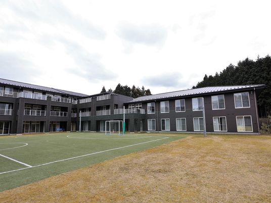 緑豊かな中庭 