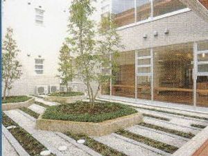中庭の木と通路  
