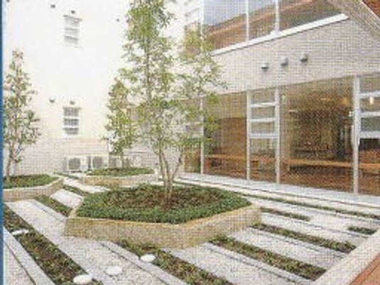 中庭の木と通路  
