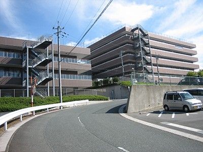 曲がりくねった道路沿いの建物
