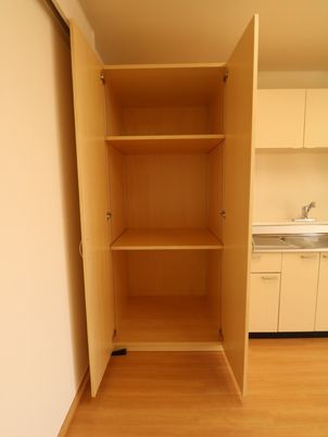 収納豊富な居室の棚