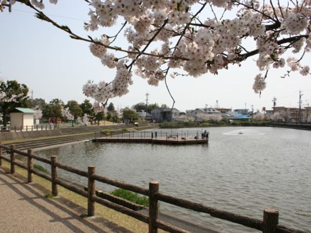 桜と池のある静かな風景 小鹿公園 春の暖かな日差しを感じる中庭では、桜の美しさと水面の穏やかさが心を和ませ、訪れる人に穏やかな時間を提供します。