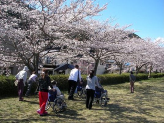 桜の下で過ごす人々