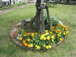 花壇を囲む緑の庭