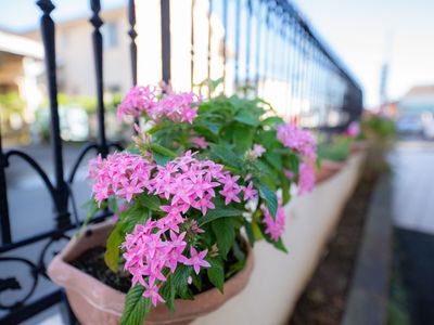 ピンクの花が添えられた中庭