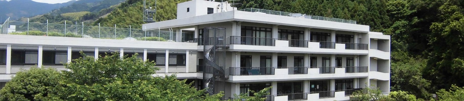 緑に囲まれた外観