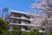 桜と建物の外観
