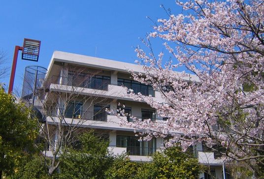 桜と建物の外観
