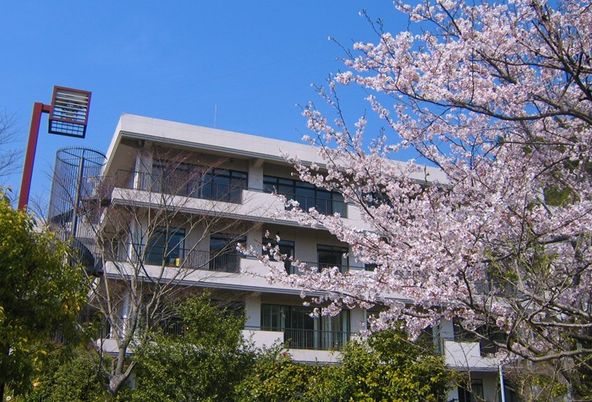 桜と建物の外観