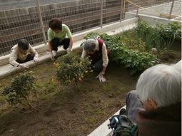 中庭でのガーデニング活動