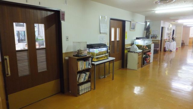 明るい廊下 廊下 明るい照明に照らされた長い廊下です。両側に収納棚や水槽が設置され、視覚的にも楽しめます。