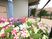 サムネイル 施設の写真 花壇に季節の花が咲いている。その横には遊歩道があり、自立式の黒い手すりが設置されている。