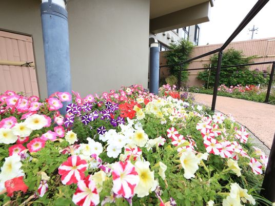 施設の写真 花壇に季節の花が咲いている。その横には遊歩道があり、自立式の黒い手すりが設置されている。