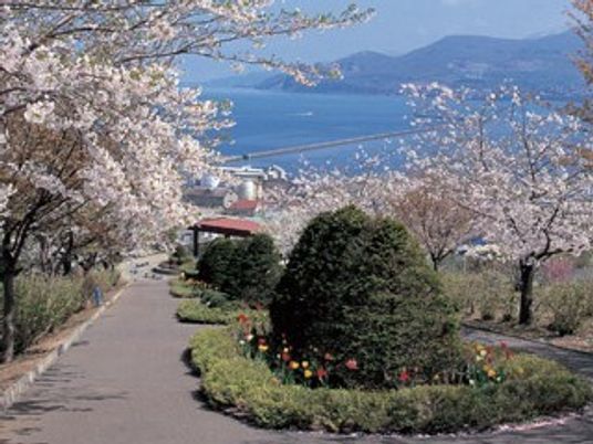 桜と湖のある中庭