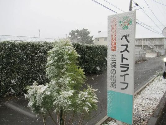 雪の看板前の庭  