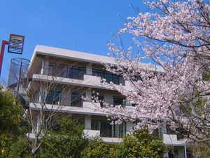 桜に囲まれた外観