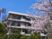 桜に囲まれた外観
