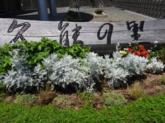 花壇と木製看板の庭  