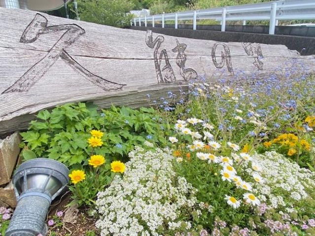 花壇と看板の風景 看板 彩り豊かな花に囲まれた看板が、穏やかで温かな雰囲気を演出しています。
