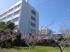 建物と庭の外観  