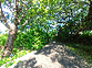緑豊かな外周