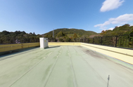 屋上から見える緑豊かな景色