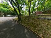 緑豊かな歩道